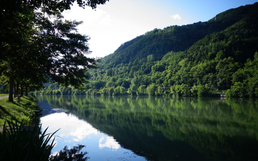 Začasna omejitev ribolova na delu revirja